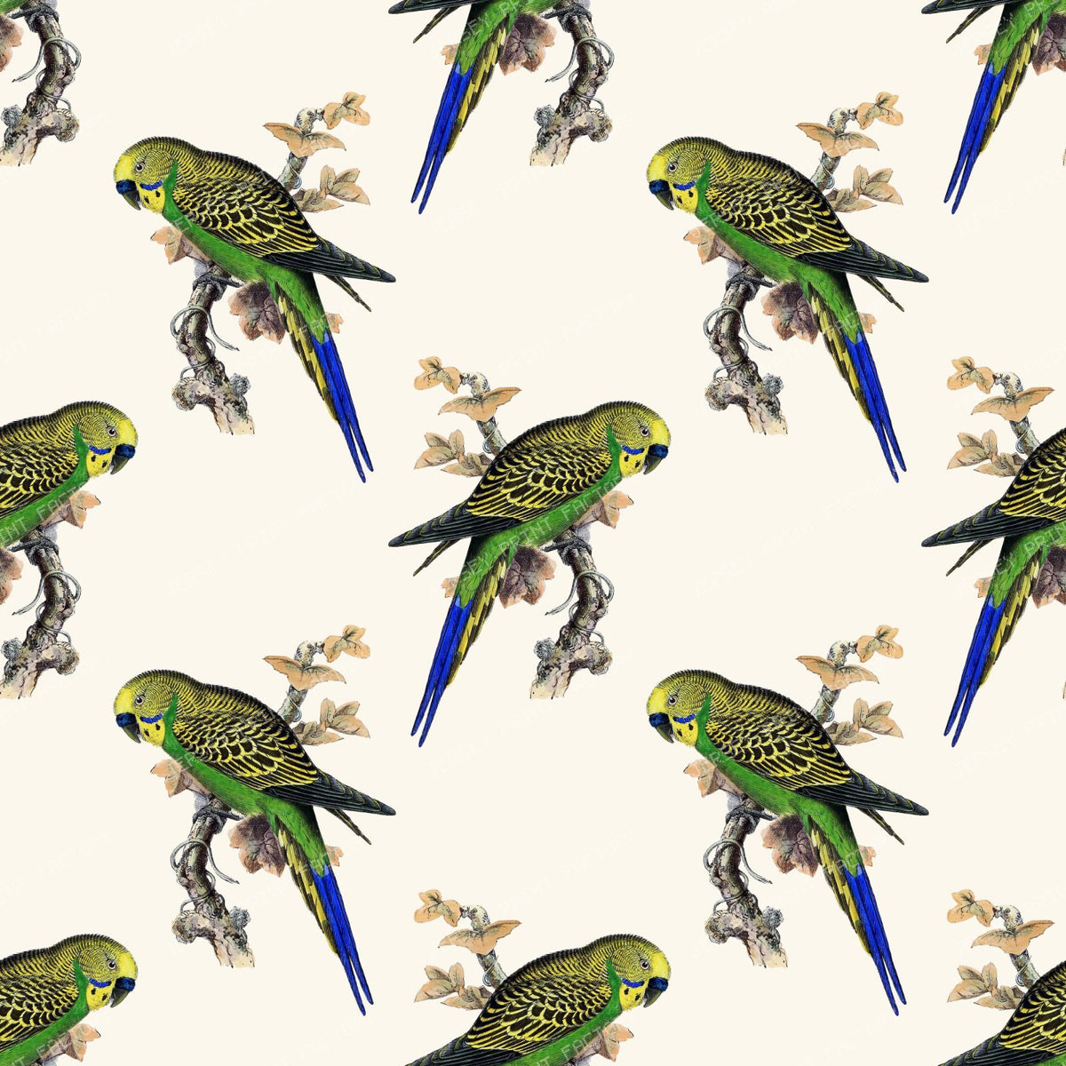 Pattern Of Parrots, Budgerigar, Parakeet, Birds, Tree Branch — Beige