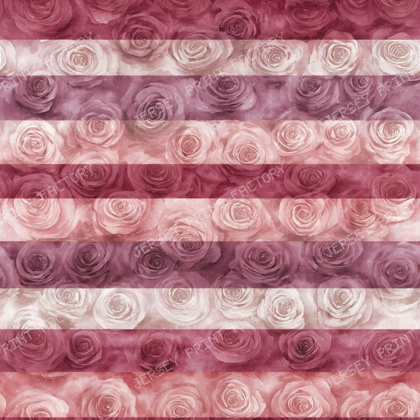 Watercolor Rose Stripe Transparent