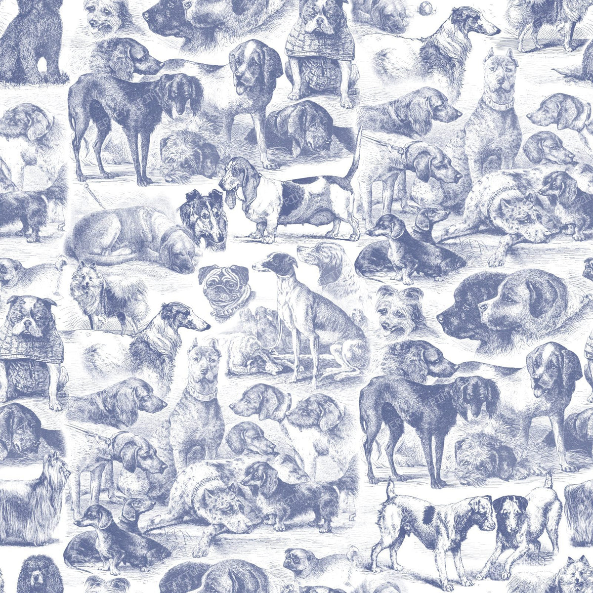 100 Cute Dog Breed Kennel Black and White Toile Pattern for Dog Lovers — Ink Blue