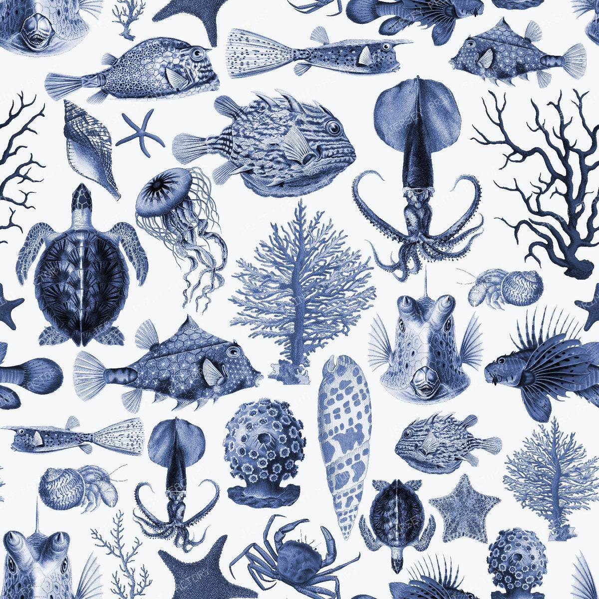 Vintage Marine Life Cabinet of Curiosities with Antique Ocean Creatures - Dark Blue — Blue And White