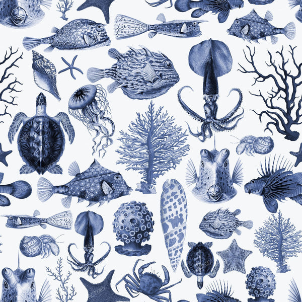 Vintage Marine Life Cabinet of Curiosities with Antique Ocean Creatures - Dark Blue — Blue And White