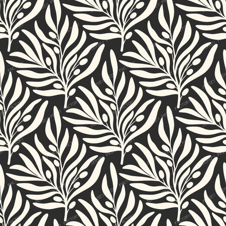 Black Olives Branches