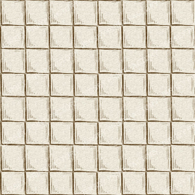 Woven Grid - Vintage Natural BG