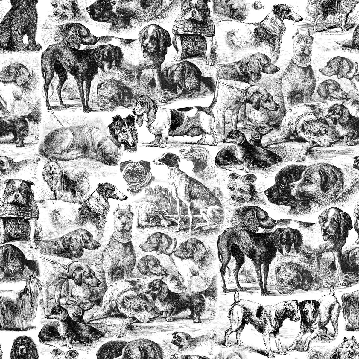 100 Cute Dog Breed Kennel Black and White Toile Pattern for Dog Lovers