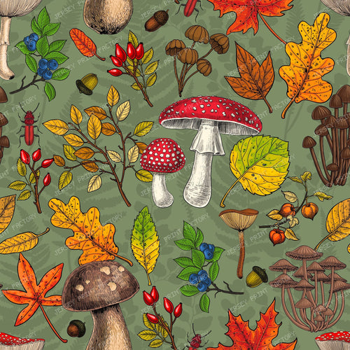 Autumn mushrooms, leaves, nuts and berries on dark brown — on sage