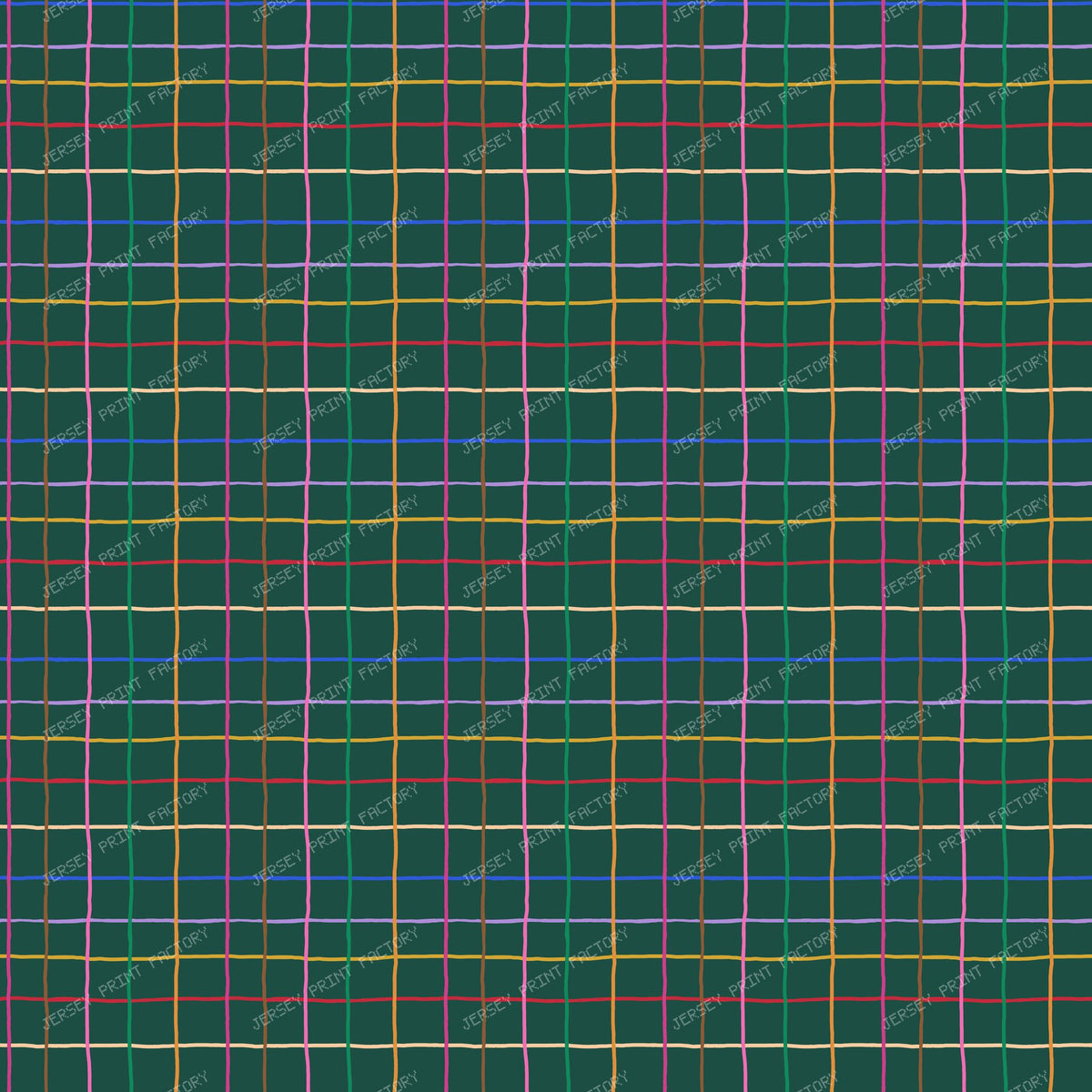 Colorful Hand Drawn Windowpane on Evergreen
