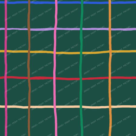 Colorful Hand Drawn Windowpane on Evergreen