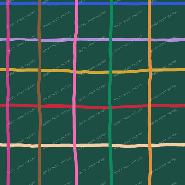 Colorful Hand Drawn Windowpane on Evergreen