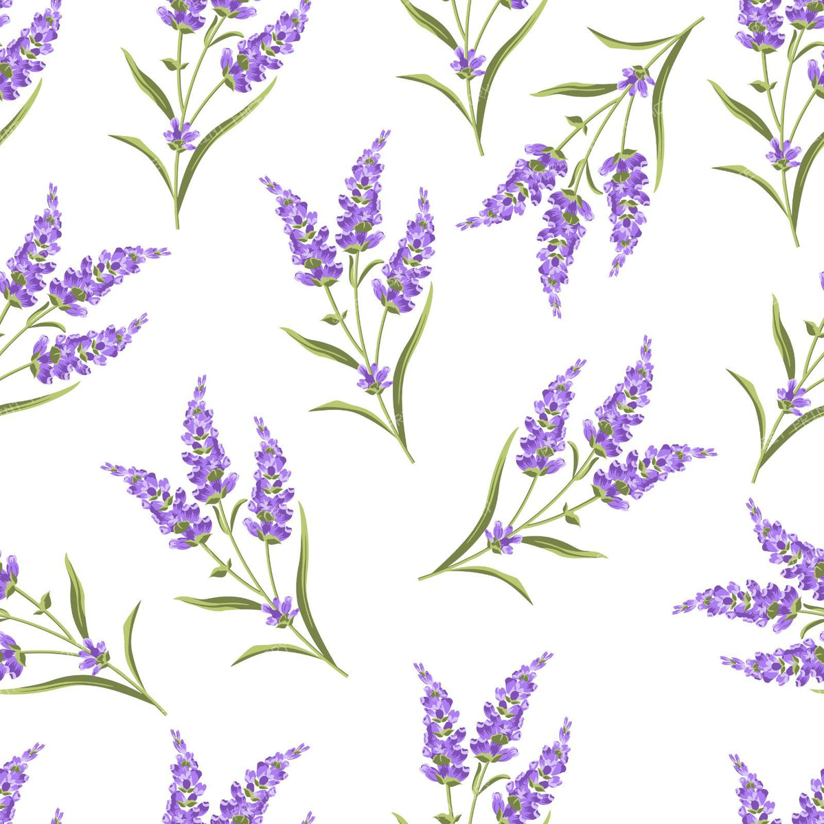 Purple Flowers, Lavender, Pattern Of Flowers, Greenery