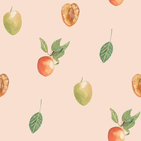 Leaves and Apricots in Soft Pink Background