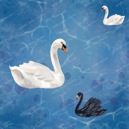 Swan Lake Blue