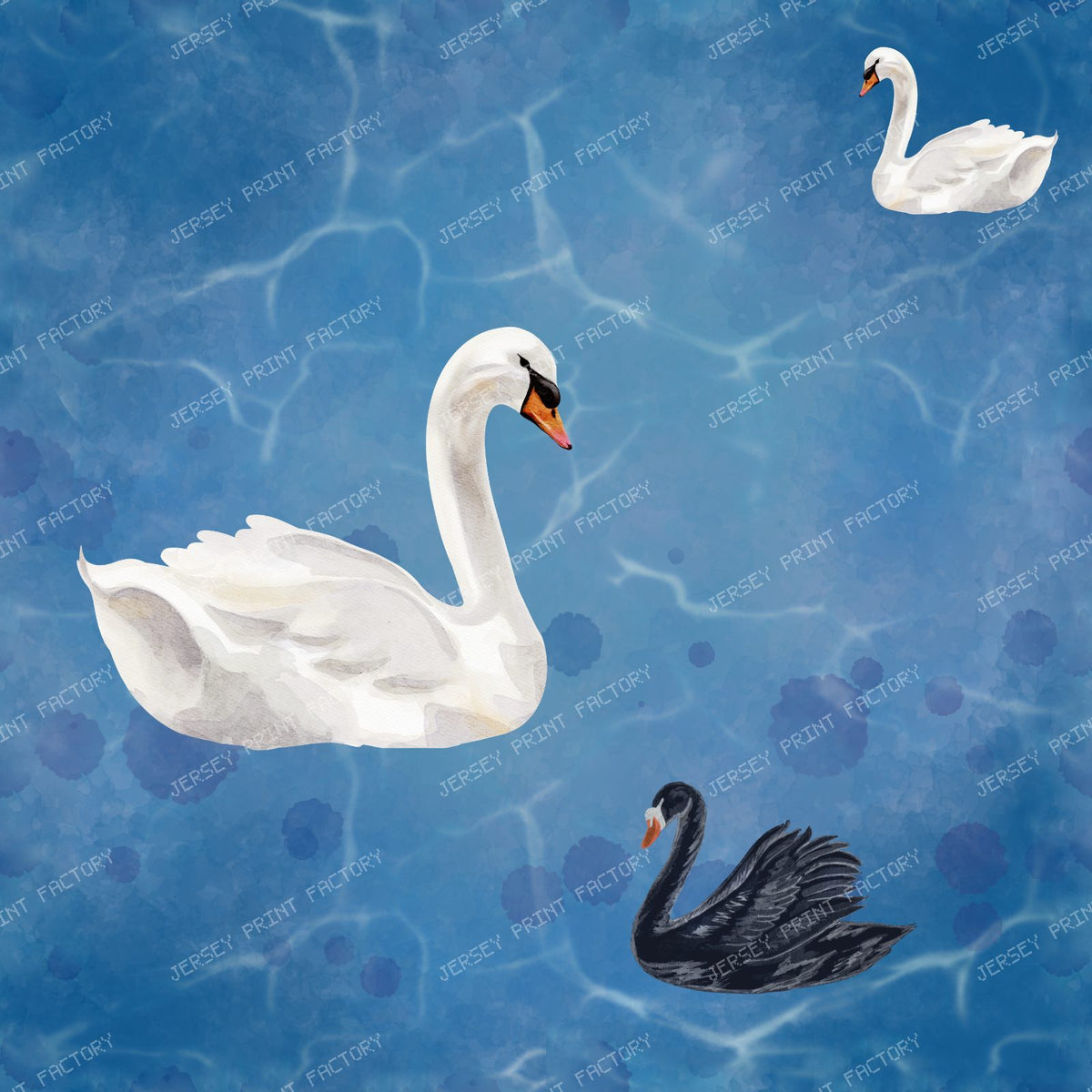 Swan Lake Blue
