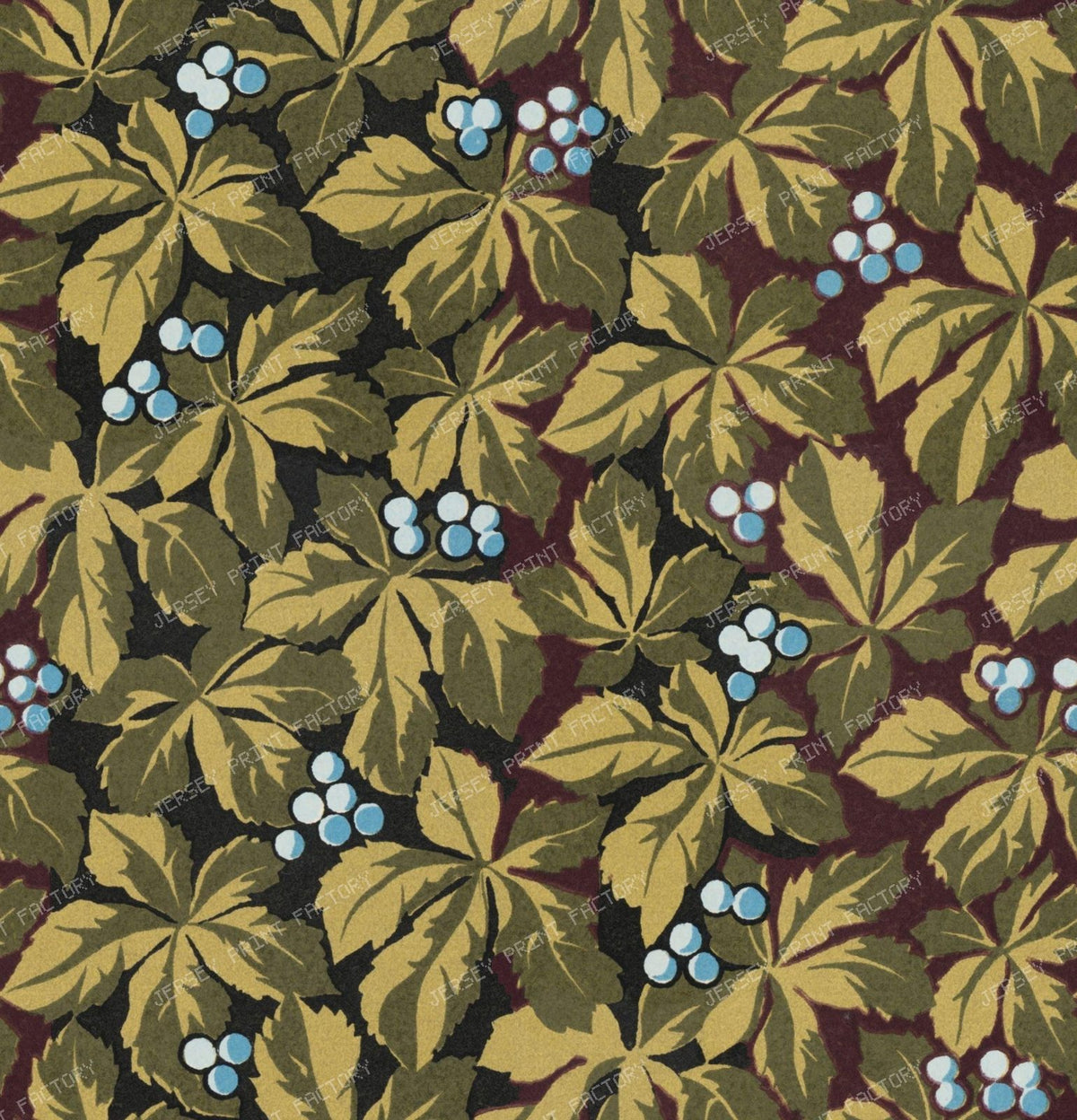 Foliage and blue berries
