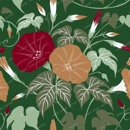 Forest Floor