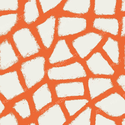 Abstract Animal Print in Organic Boho — orange