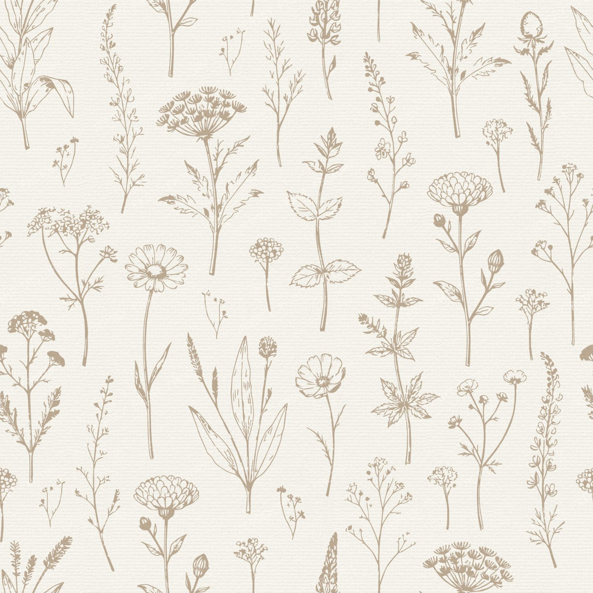 Cottagecore Botanical Herbarium Wildflowers - Beige and Cream