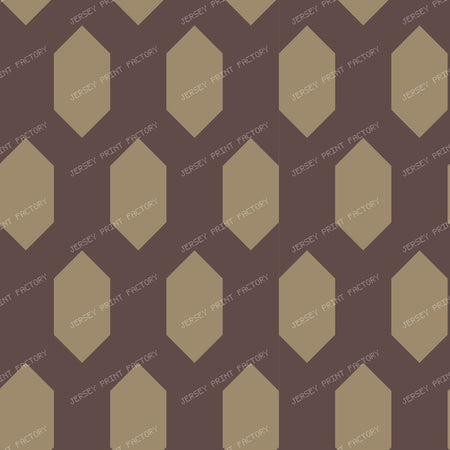 Fatimid Wall Lattice Pattern