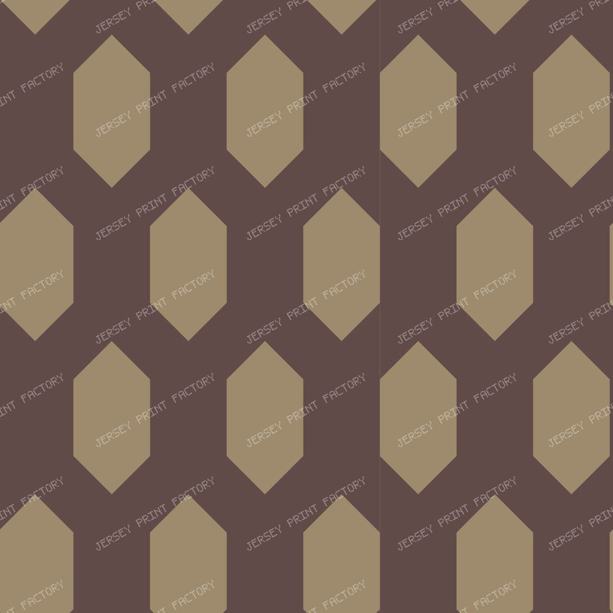 Fatimid Wall Lattice Pattern