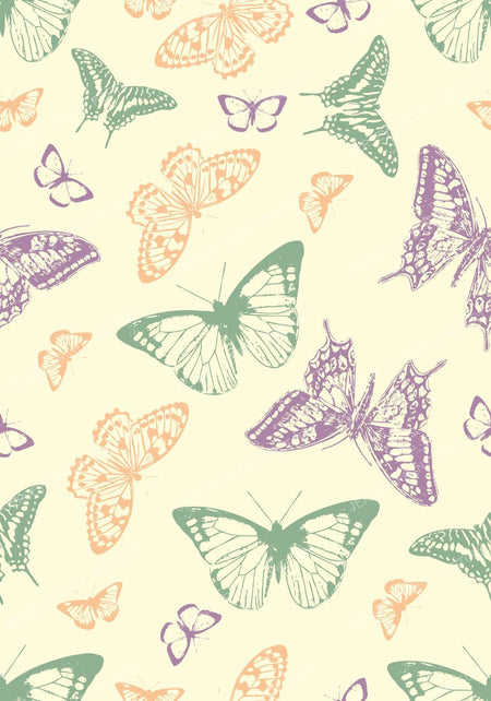 Pattern Of Butterflies, Butterfly Pattern, Pink Butterfly — Colorful 3