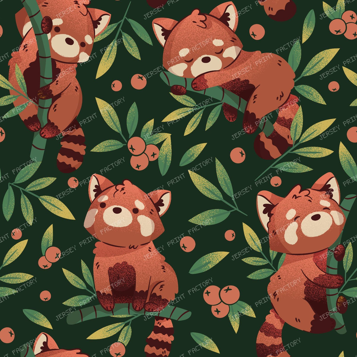 Red Panda | Bamboo and Animals