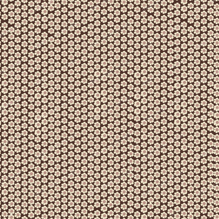 Lokma Cocoa