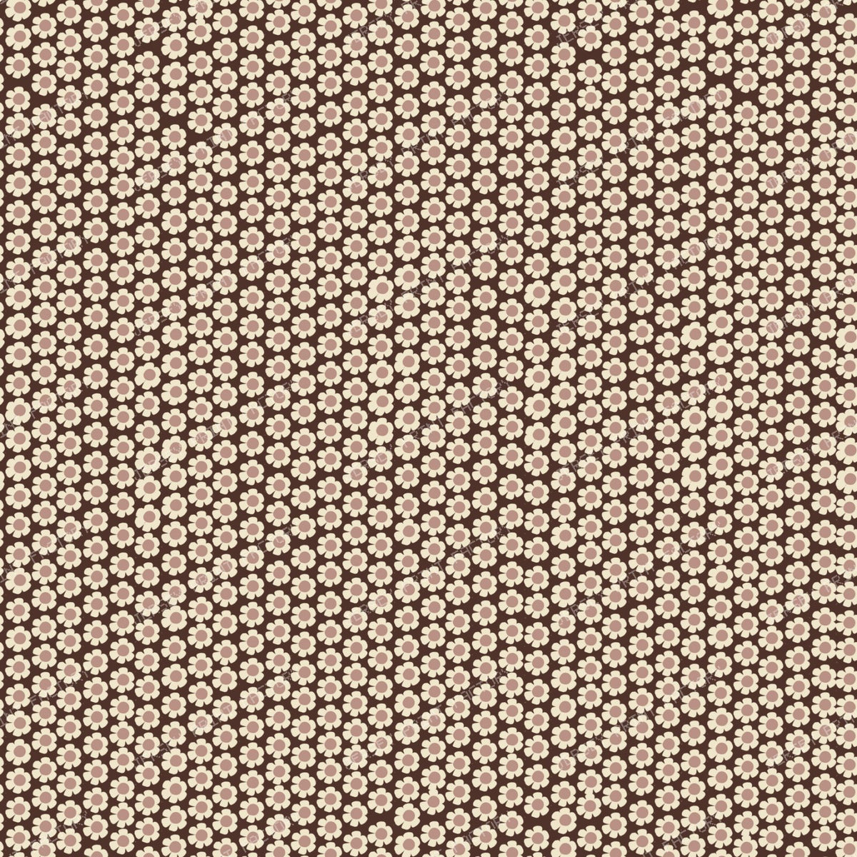 Lokma Cocoa