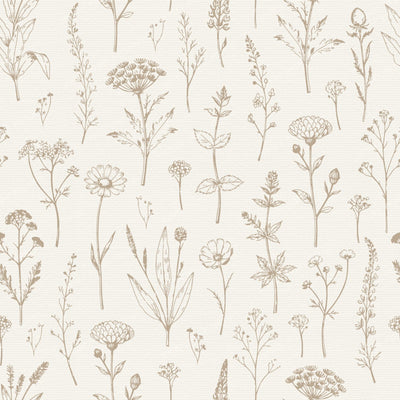 Cottagecore Botanical Herbarium Wildflowers - Earthy Beige and Charcoal Gray — Beige and Cream