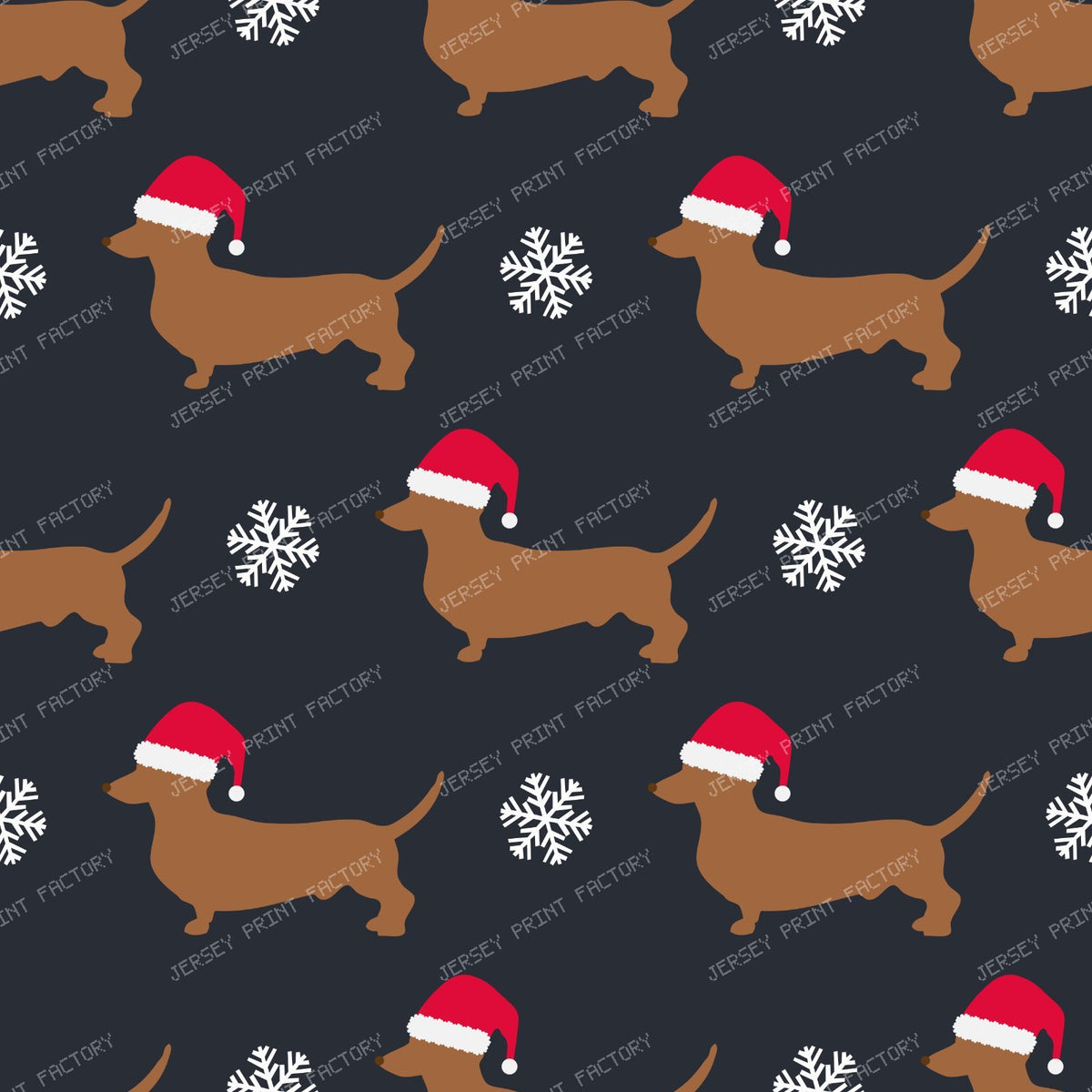 Christmas Dog, Brown Dachshund, Wiener Dog, Santa Hat, Snowflakes