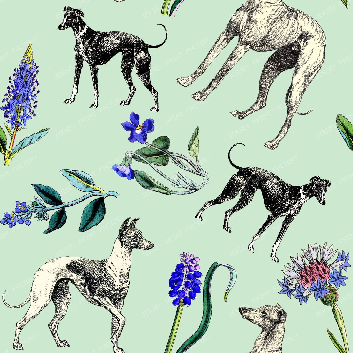 Greyhound Dogs and Spring Flowers Cottagecore Pattern on Mint Green