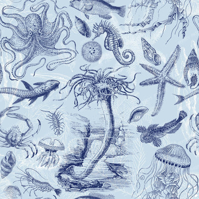 Underwater Sea Life Coastal Cottagecore Toile Pattern