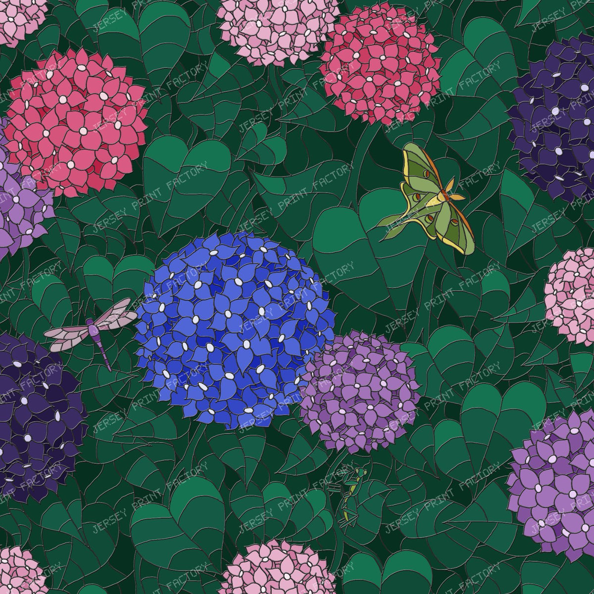 Hydrangea Night