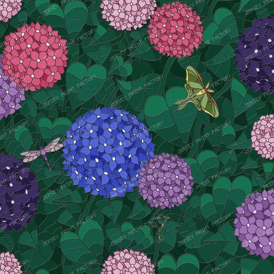 Hydrangea Night