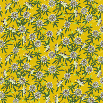 Passion Flower on Dark Yellow