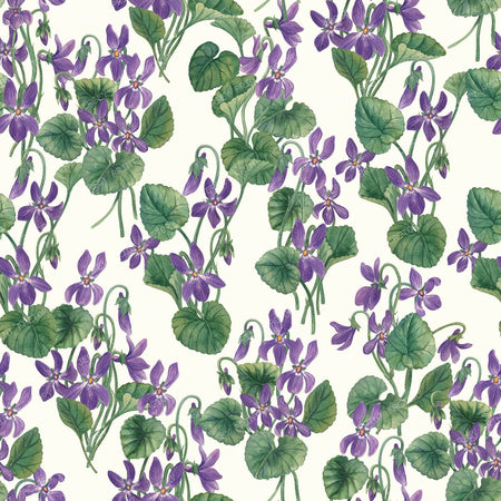 Watercolor violets on bright blue — on white