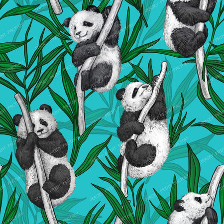 Panda Cubs — on blue