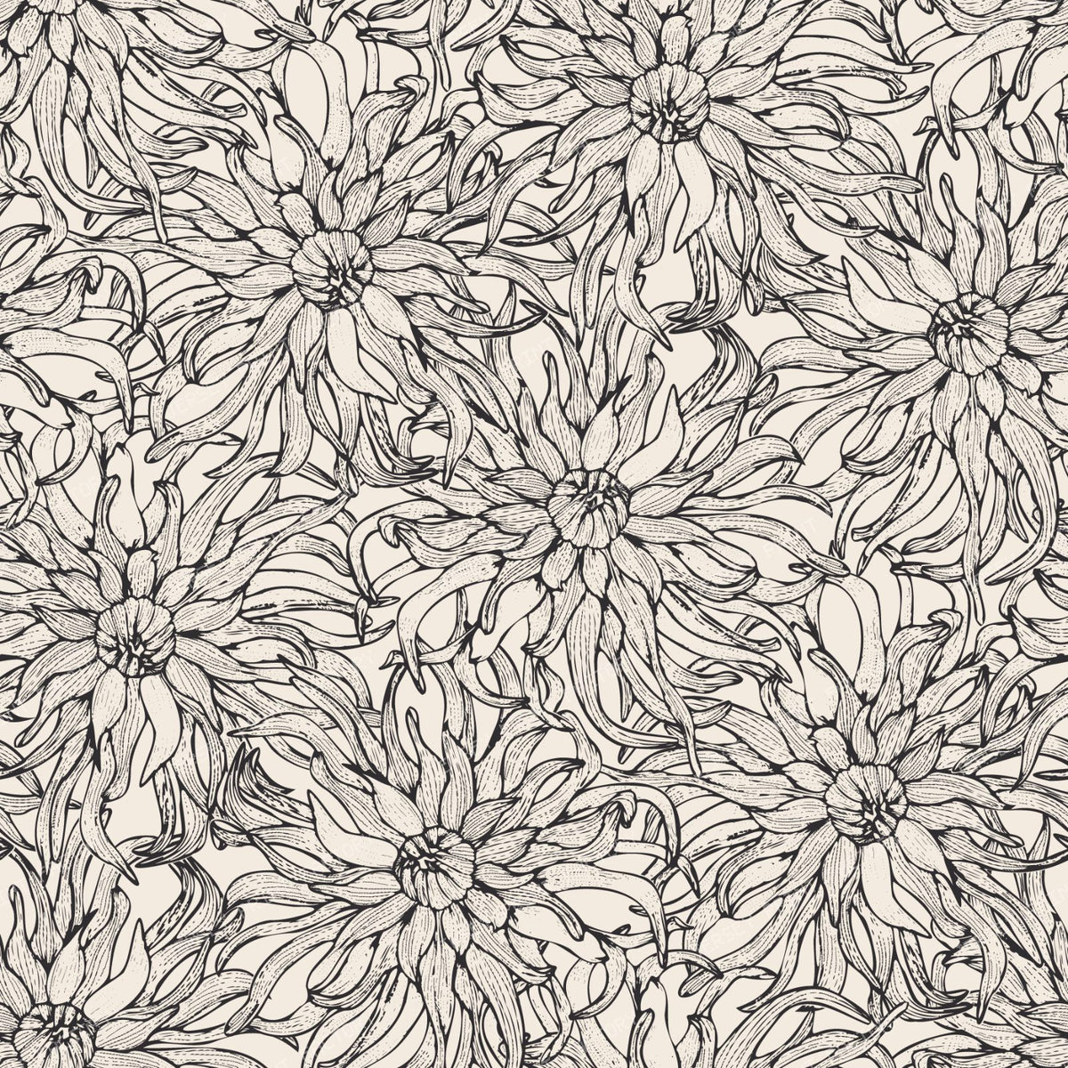 Moody Cactus Dahlia Line Art Vintage Botanical Floral — Cream