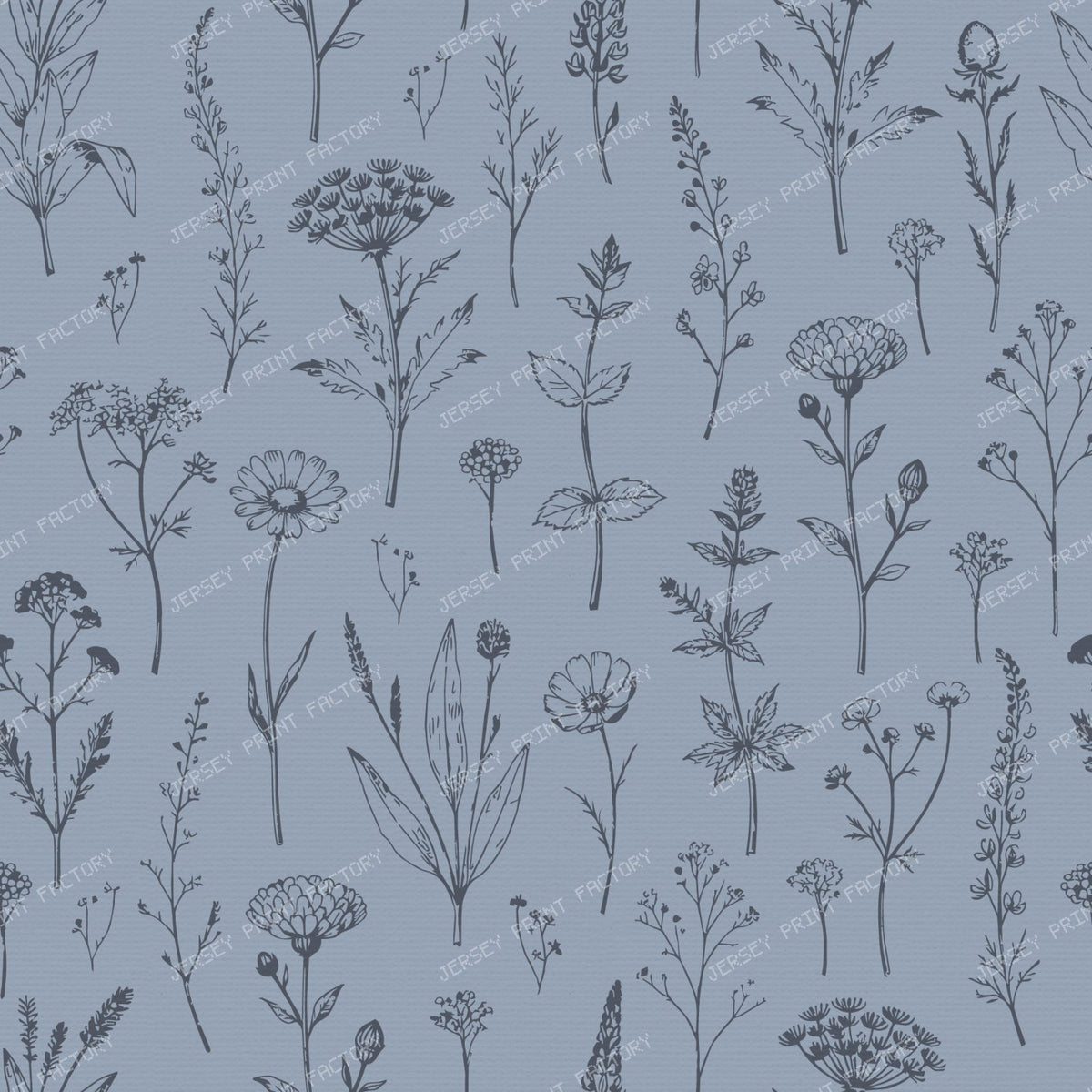 Botanical Sketch Herbarium Country Cottage Flowers - Slate & Dusty Blue