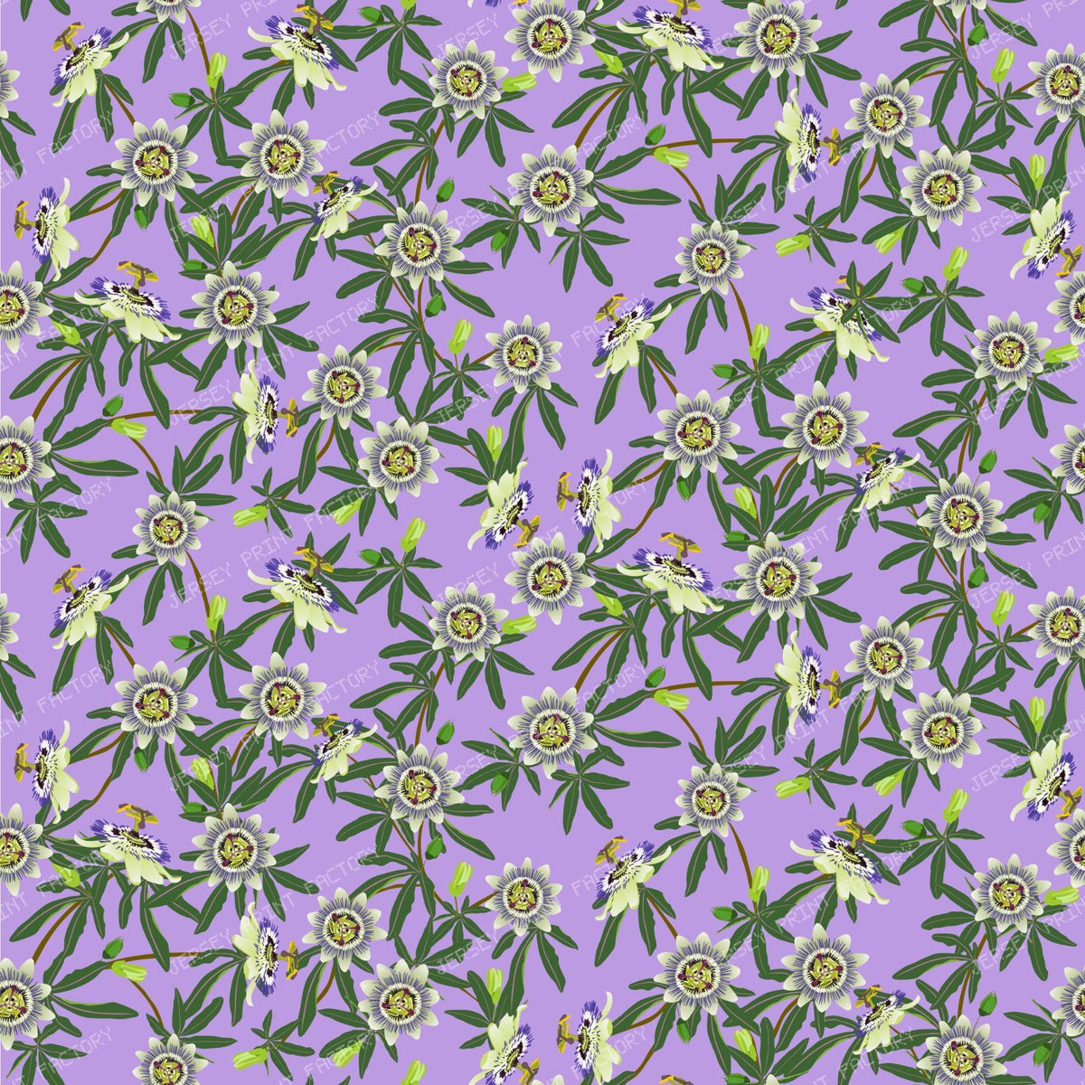 Passion Flower on Lavender