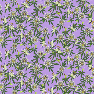 Passion Flower on Lavender