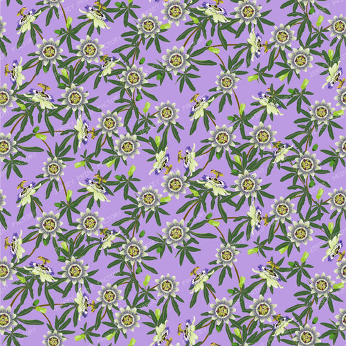 Passion Flower on Lavender