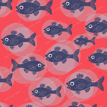 Cheeky Fish - Swim Your Own Way