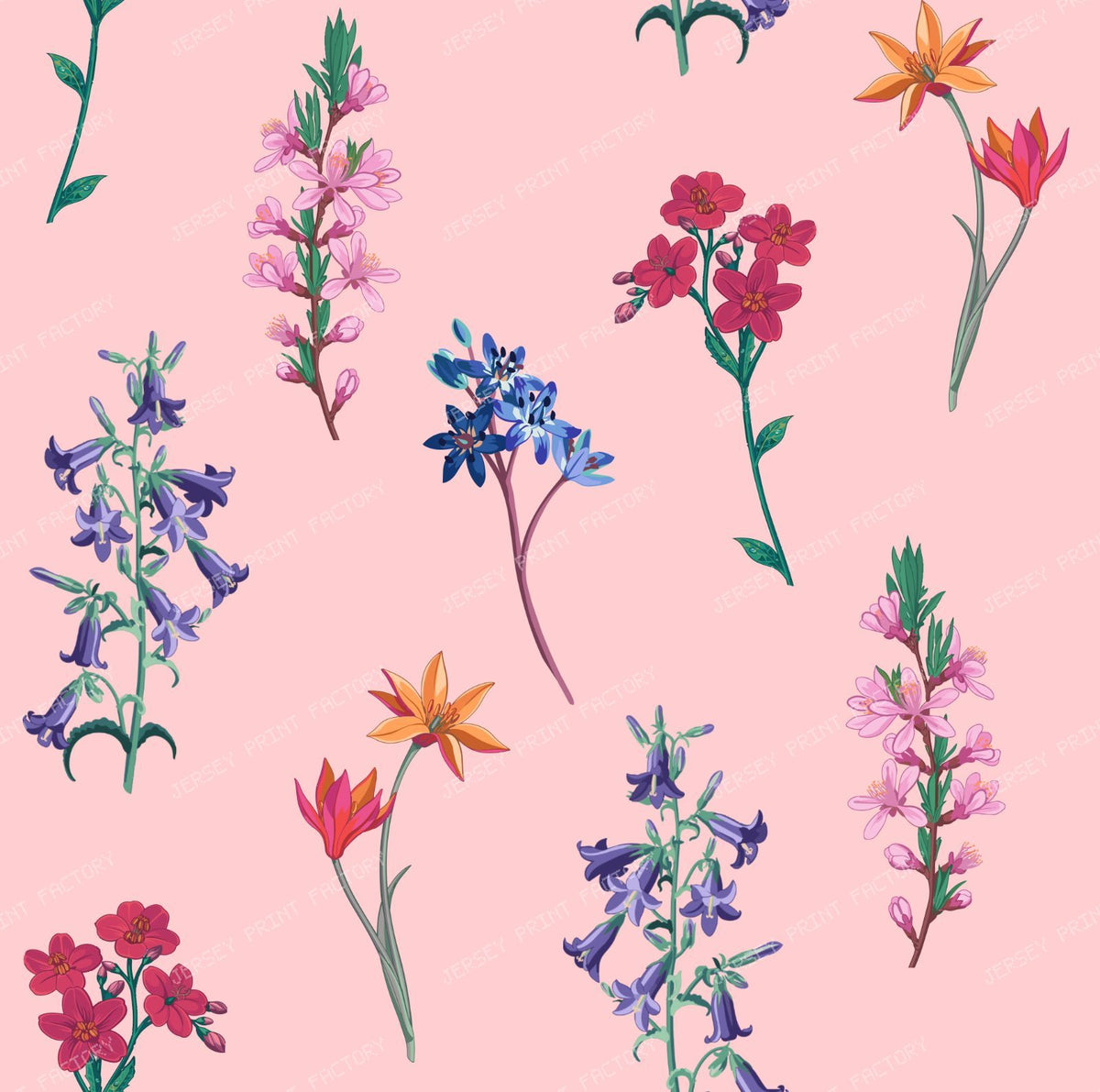 Sweet Blush Pink Botanical Wildflower Meadow