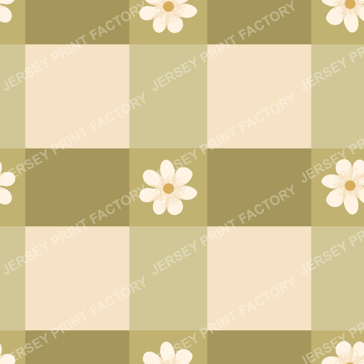Coffe Meerkats Collection | Flowers Check
