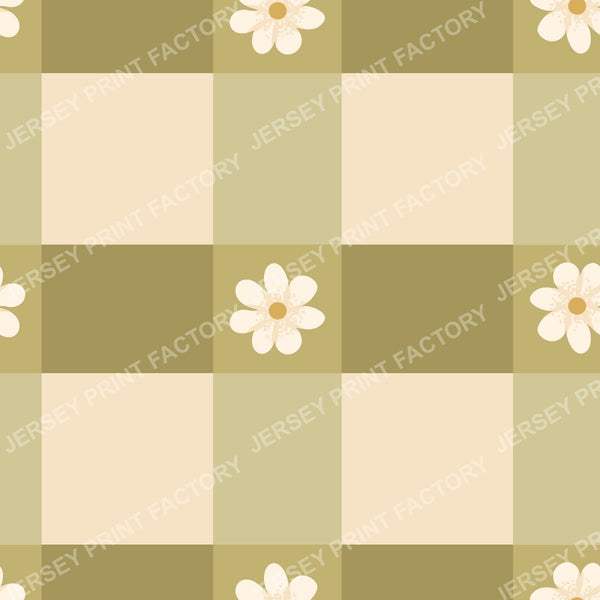 Coffe Meerkats Collection | Flowers Check