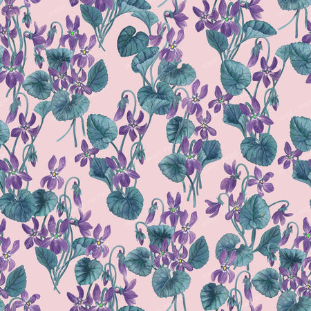 Watercolor violets on bright blue — on pink