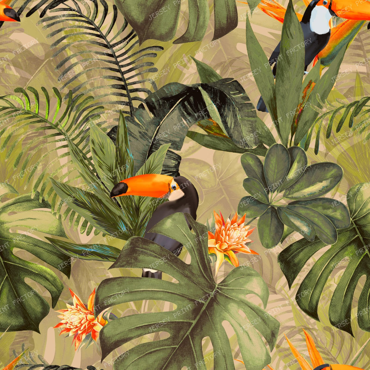 Tropical Jungle Toucan