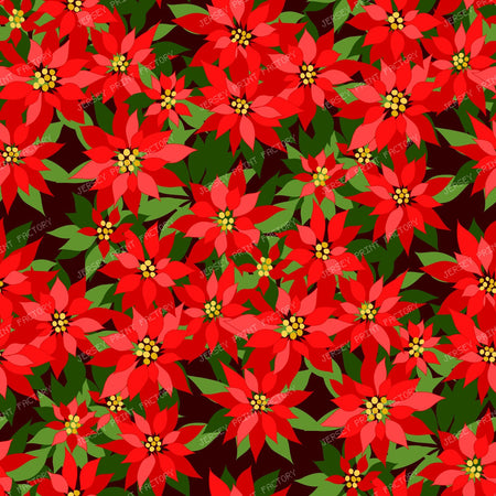 Christmas Blooms Poinsettias