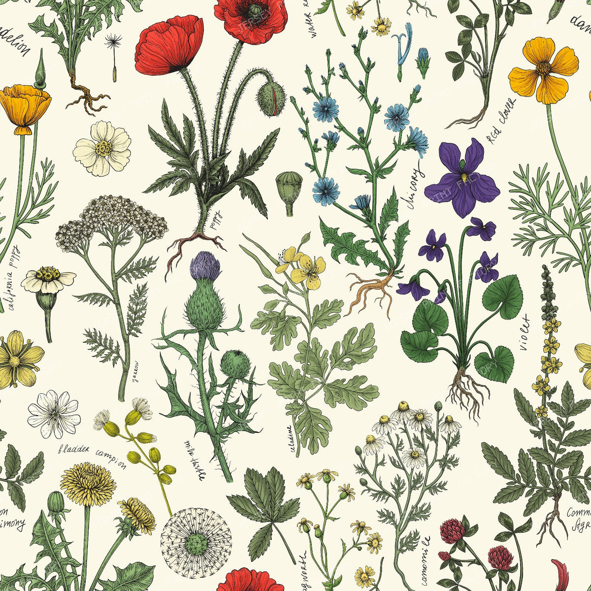 Wildflowers Collage on off white