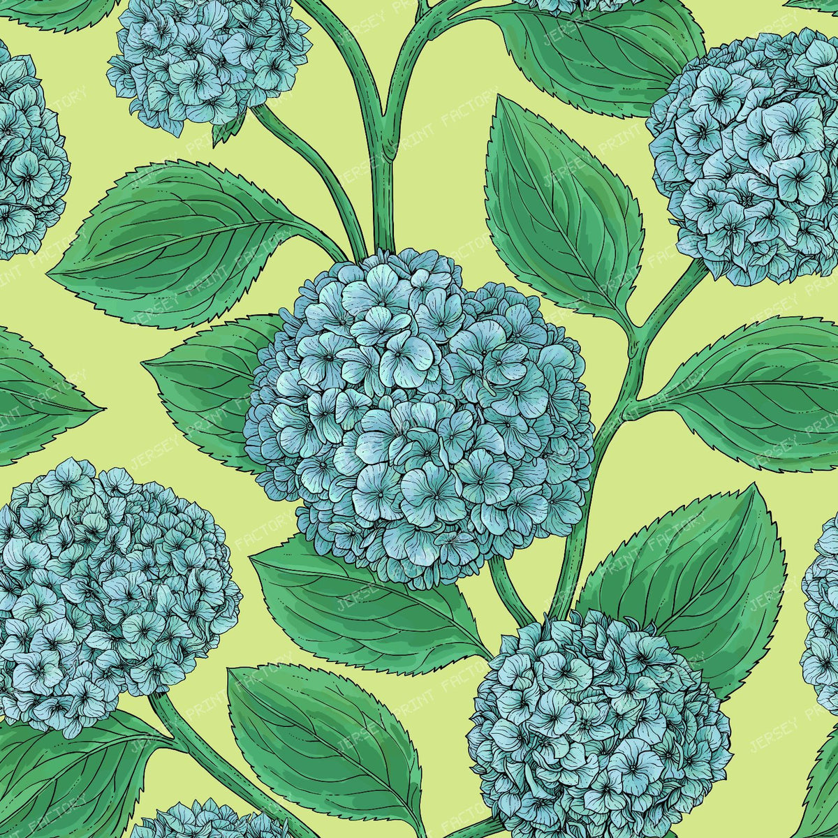 Hydrangea — in blue and green