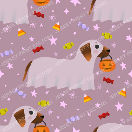 Trick Or Treat Dachshund Dog Halloweenie – Sheer Ghost On Mauve